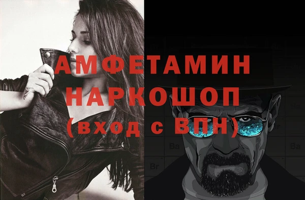 шишки Бердск